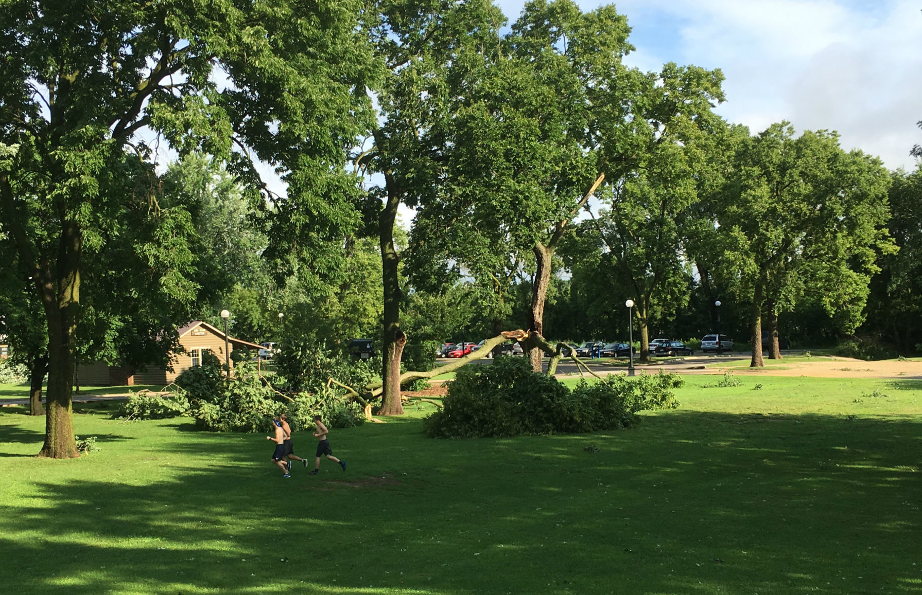 Myrick Park storm damage